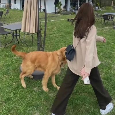 史考特·乔普林传